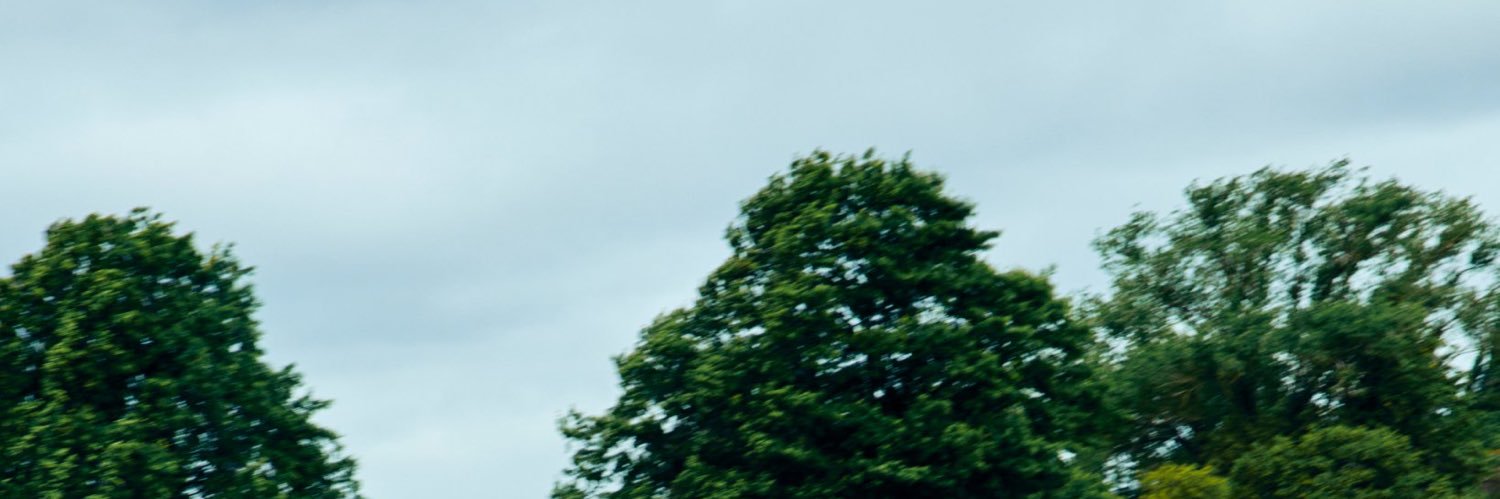 bearlove114's profile banner image