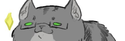faryalt banner