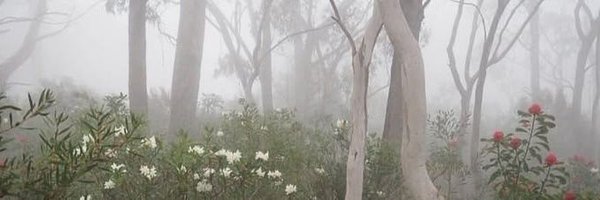 ochrescent Profile Banner