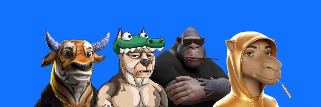 Newbear2025's profile banner image
