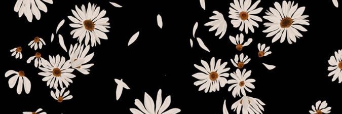nicarantxa's profile banner image