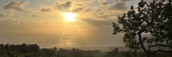 JAWs144gs Profile Banner
