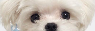 Zin_zin💜🍒 banner
