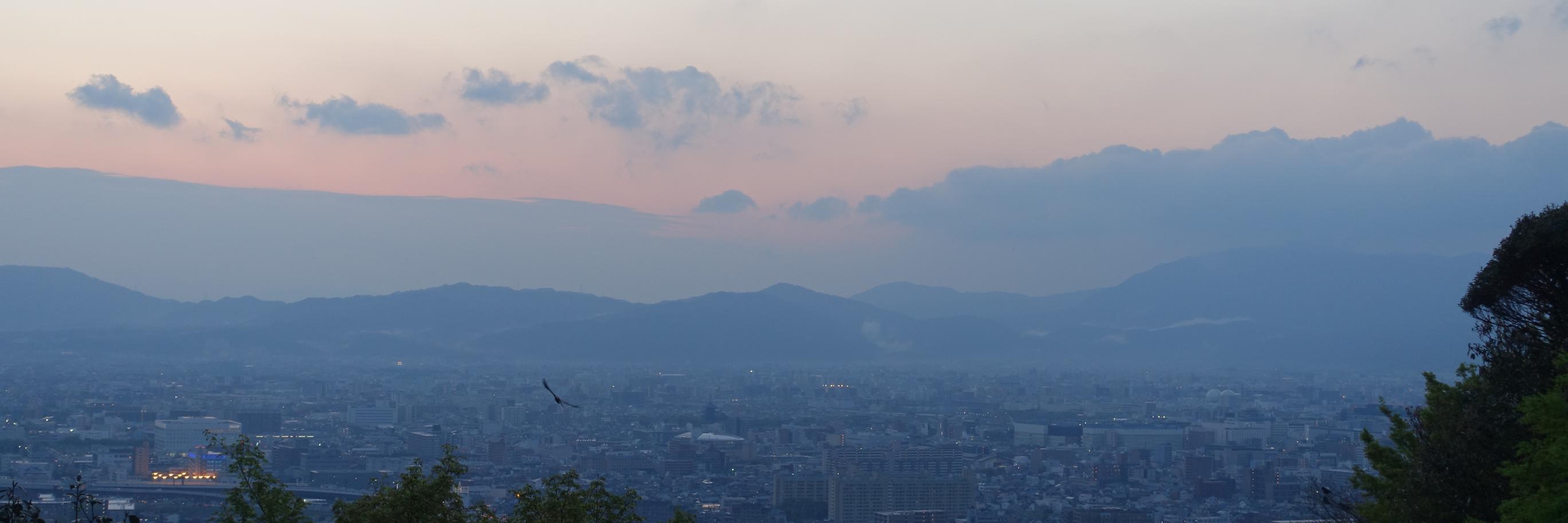 CationDaydream's profile banner image