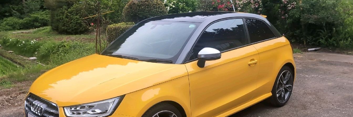 ぬこの人ゴンチャン banner