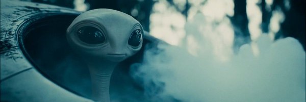 DolstenCo Profile Banner