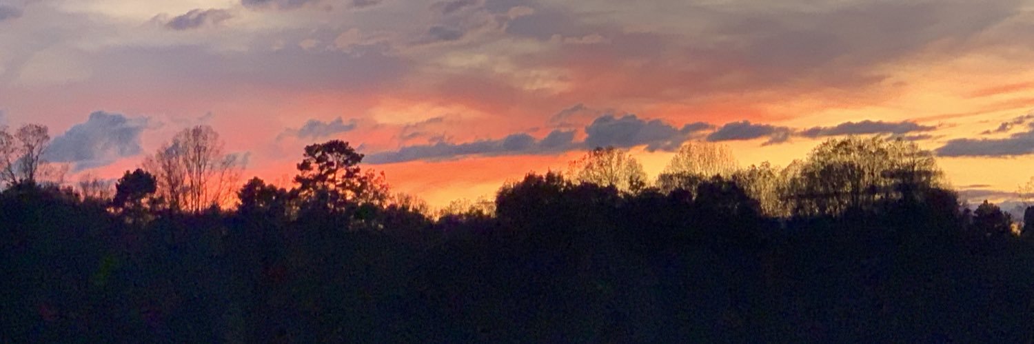 Jennifer Sloop banner