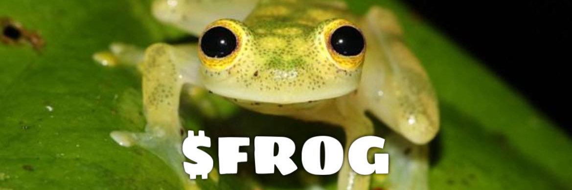$FROG banner