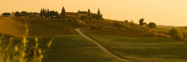 chateaushiwine Profile Banner