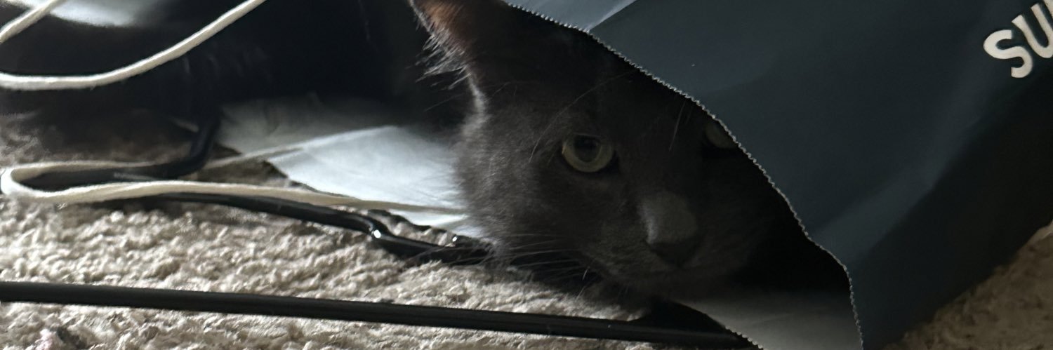 Mr C banner