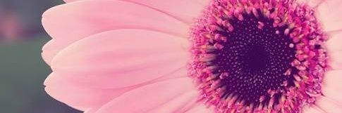 Rina (The Late Army) banner