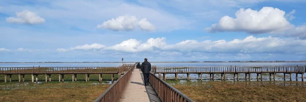 Hossein Babaee banner