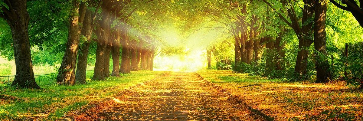 MustafaLaskarMj's profile banner image
