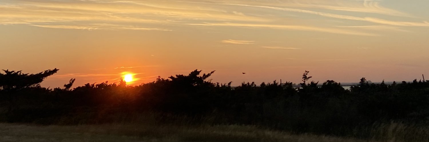 Amber banner