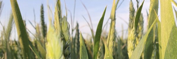 puc3l4n0 Profile Banner