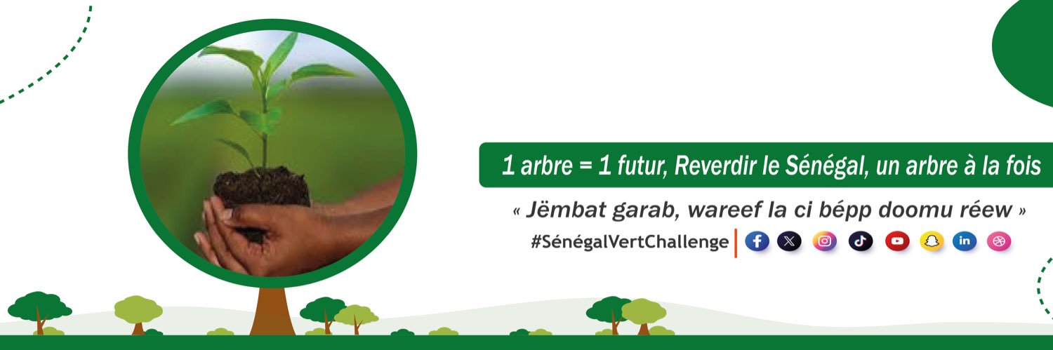 Senegal Vert Challenge's banner
