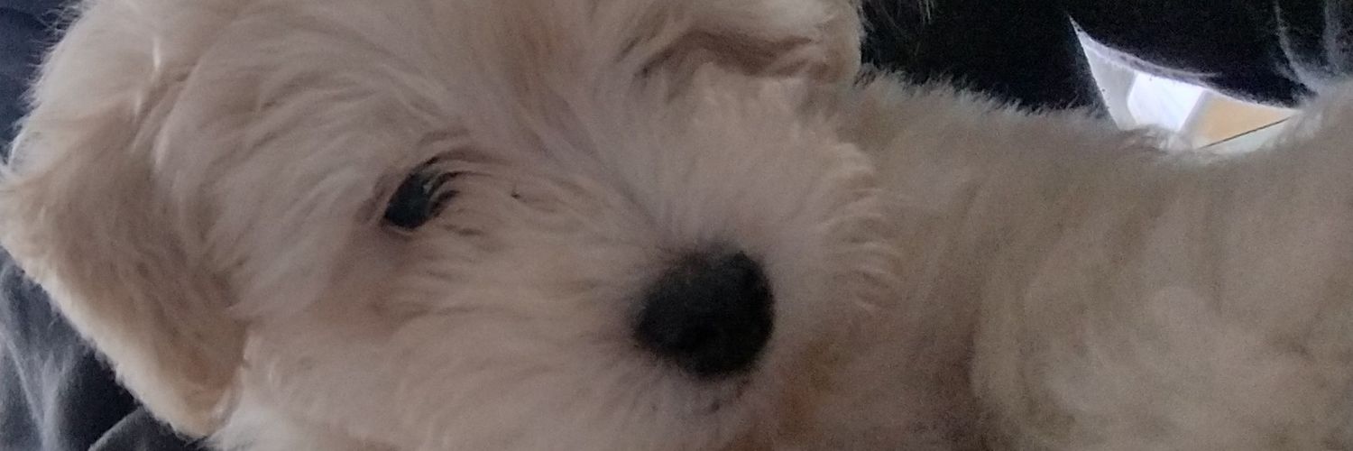Luuli🩷 banner