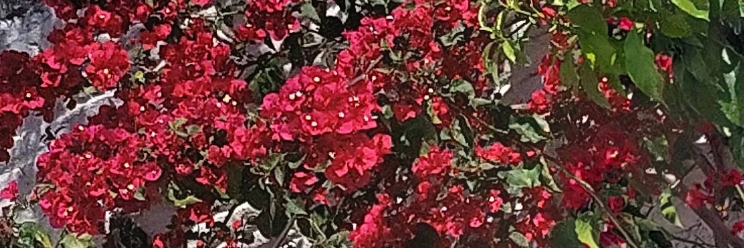 arqronco's profile banner image