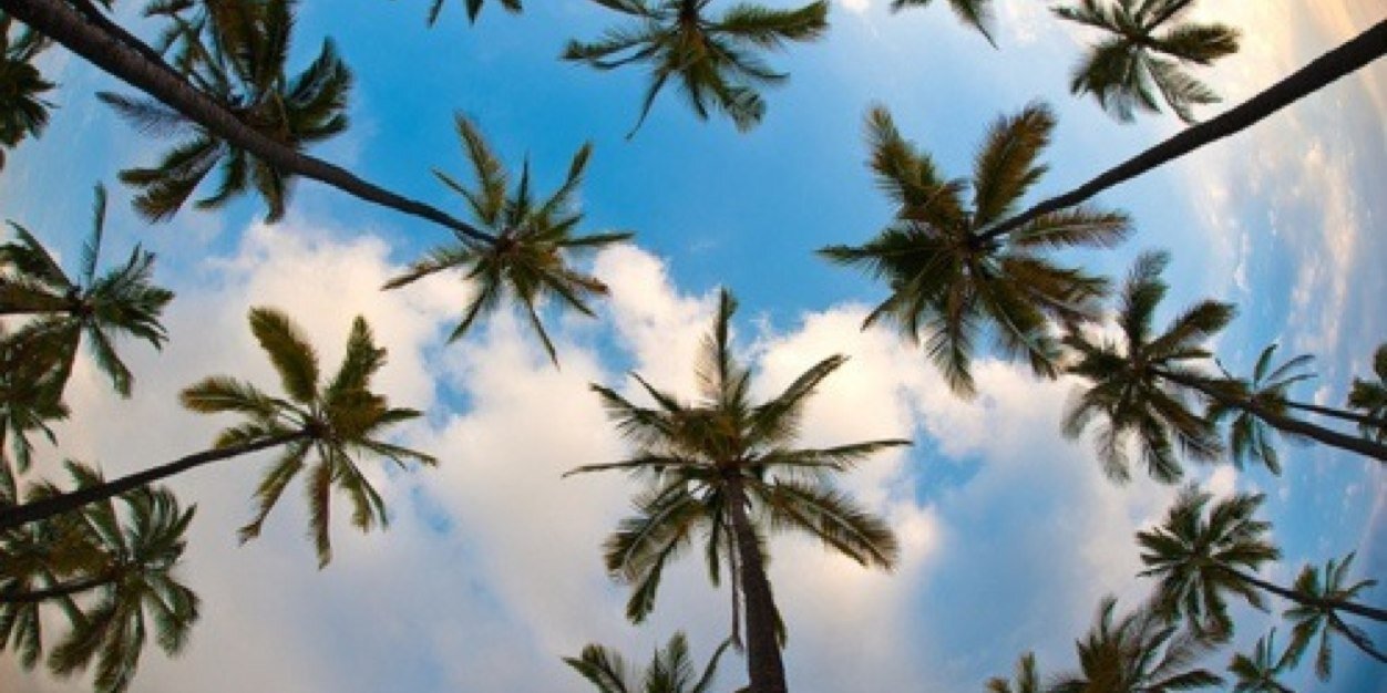 SelenaMarieFF's profile banner image