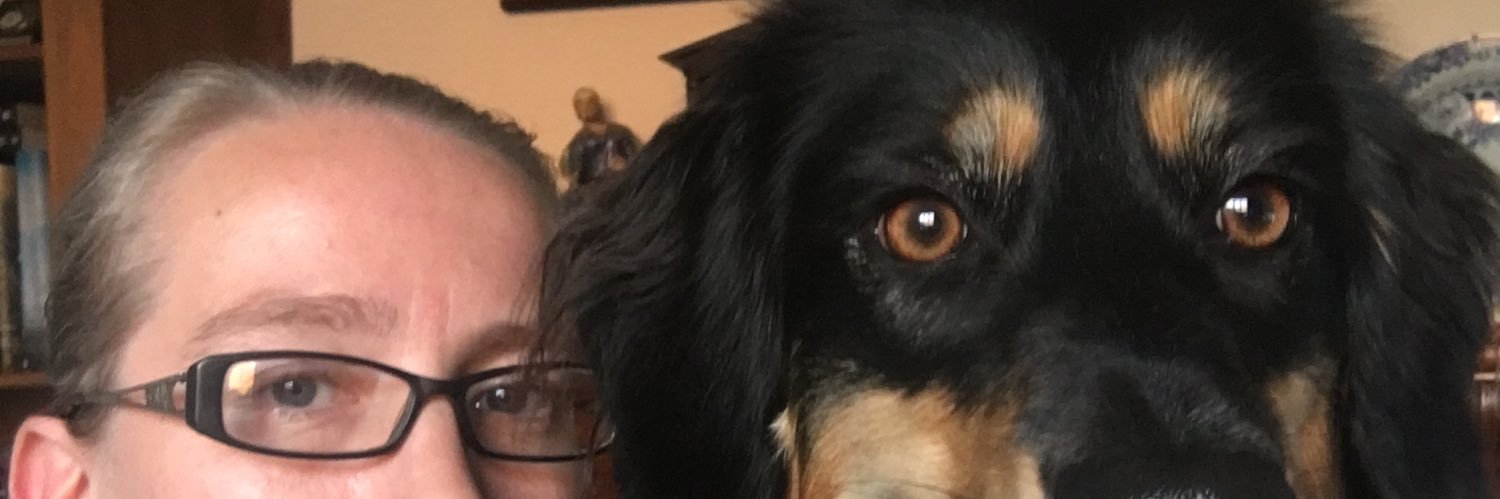 lauraocfc's profile banner image
