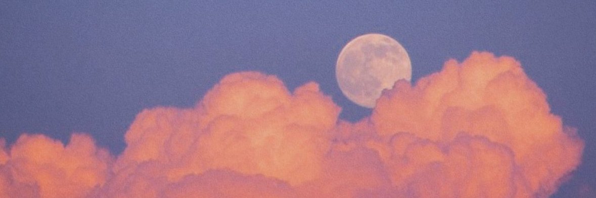 Alessia_Findom's profile banner image