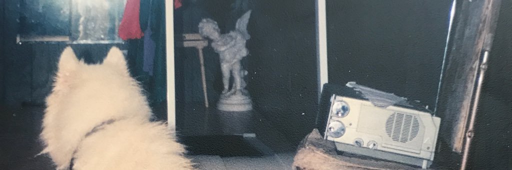 nickshattell's profile banner image