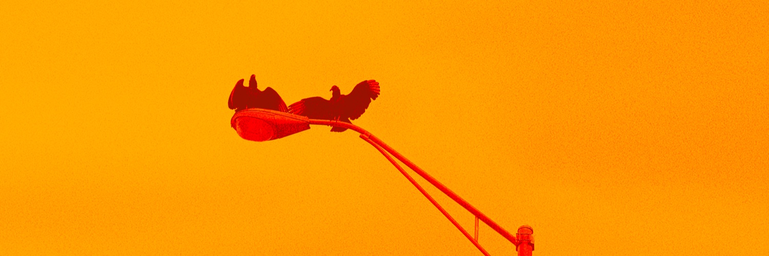 mindfad's profile banner image