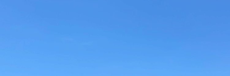 ris banner