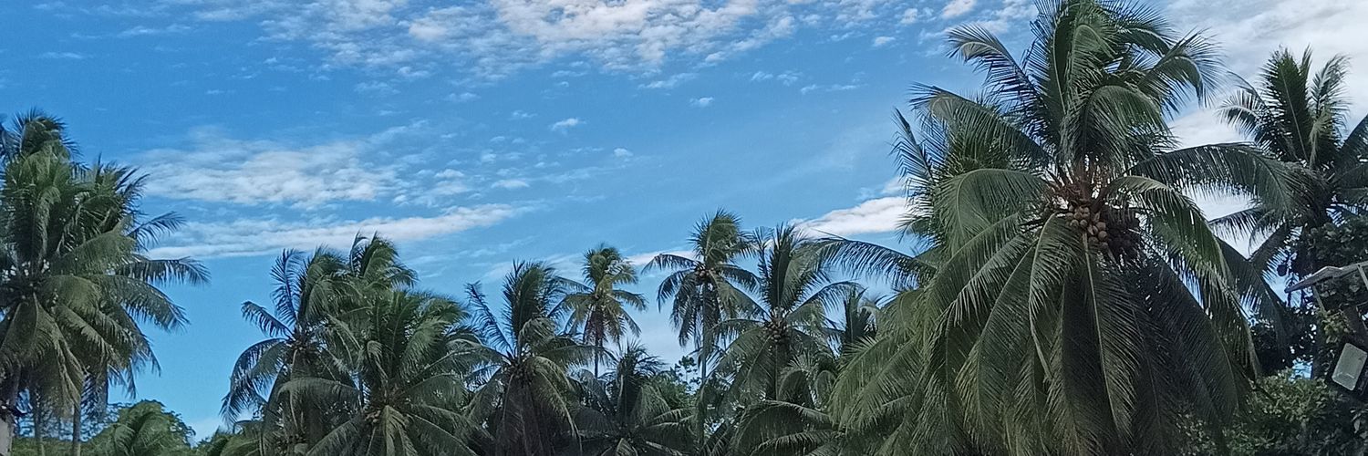 rishayaforval's profile banner image