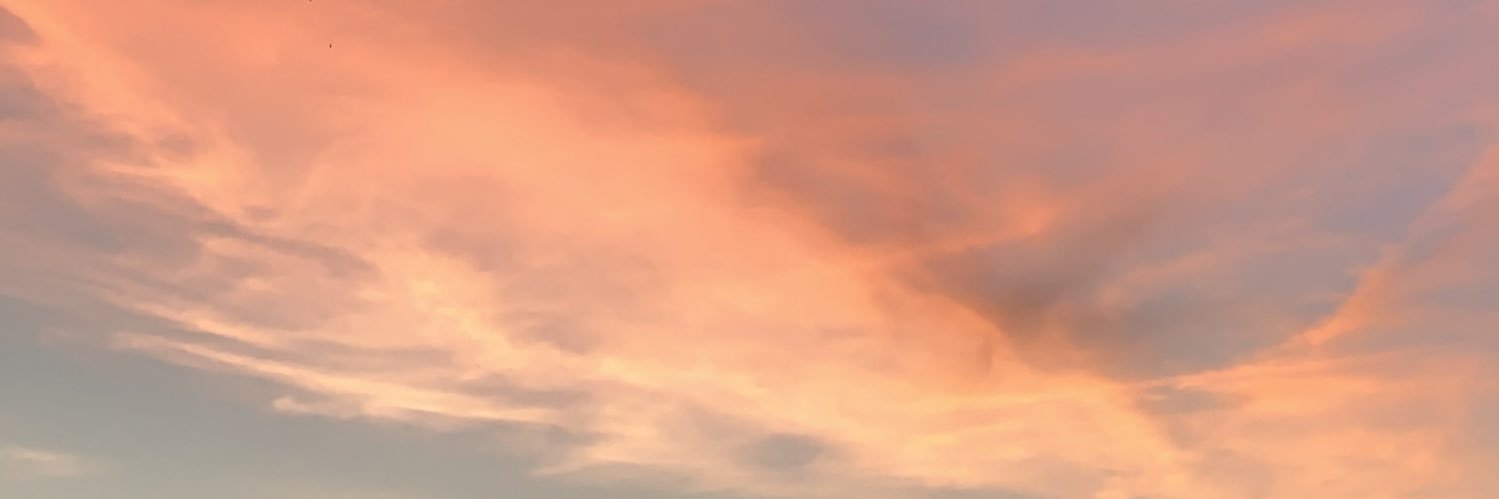 InesownsStyles's profile banner image