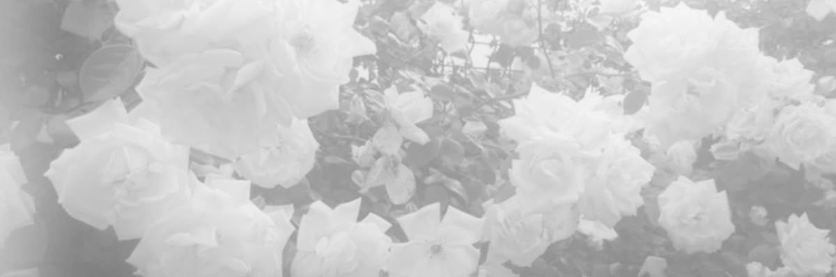 xucest's profile banner image