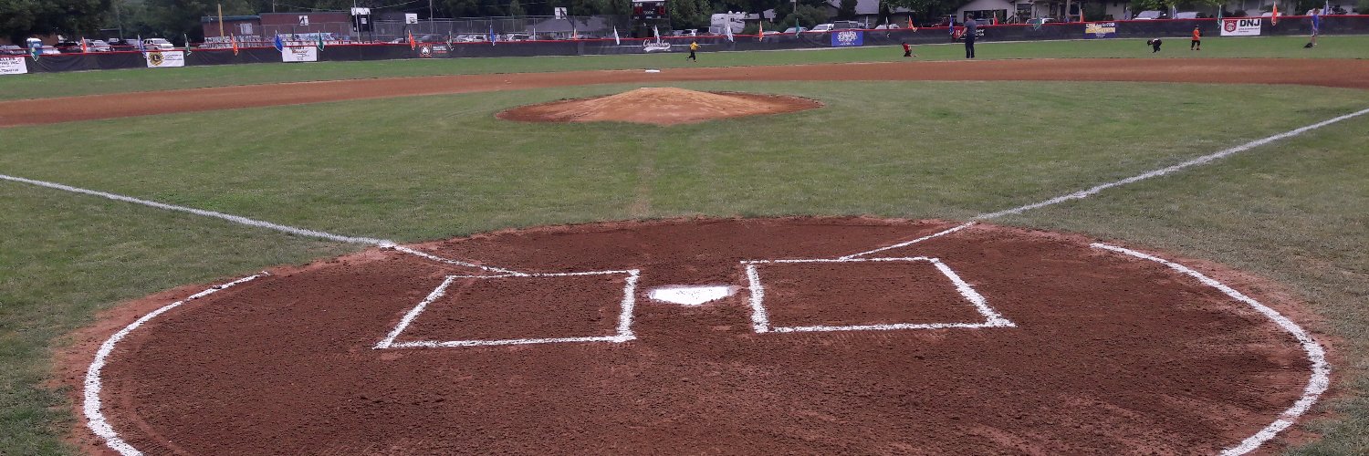 ChannahonBaseball banner