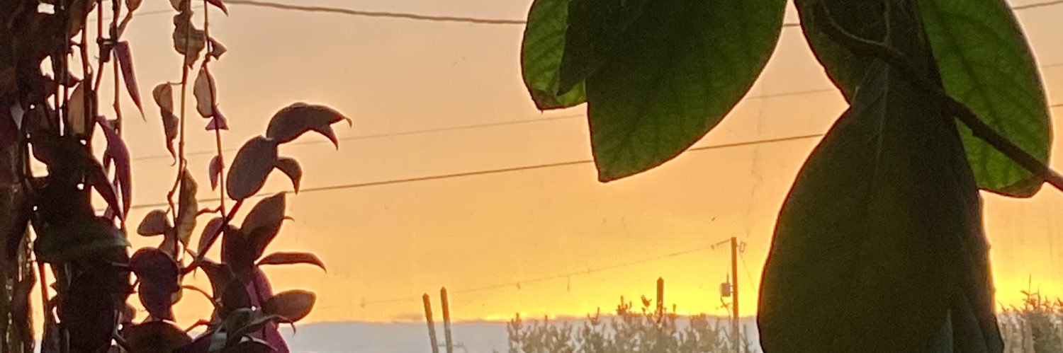 Furnock's profile banner image