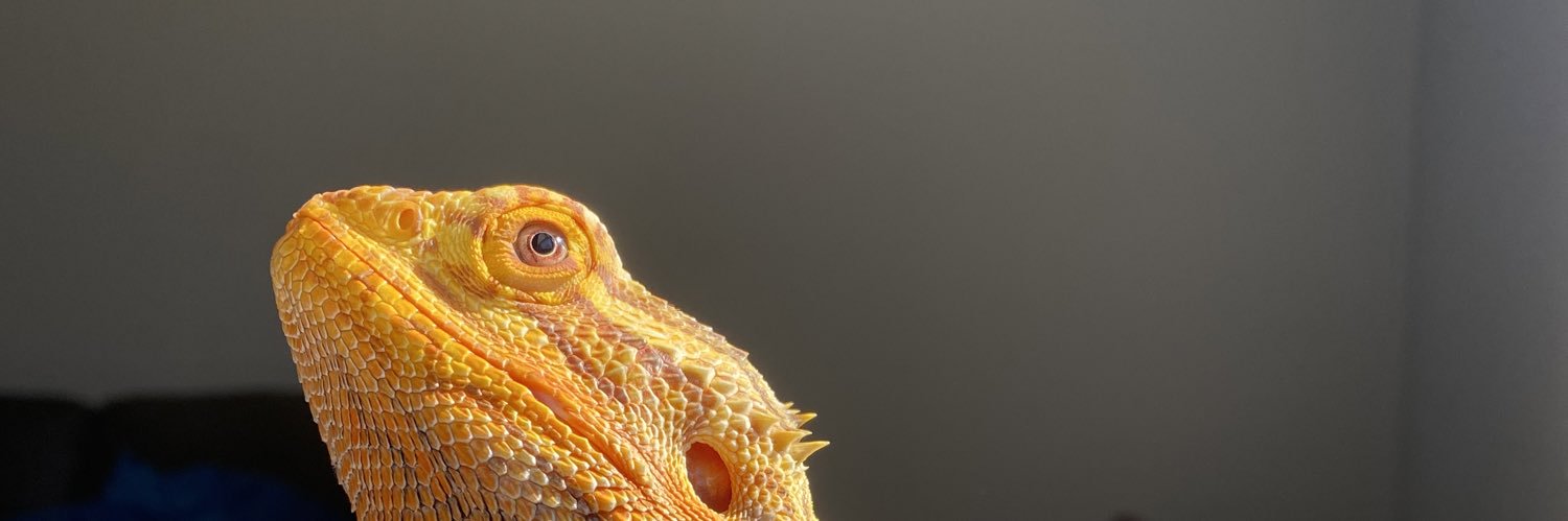 heyitsmorgo's profile banner image