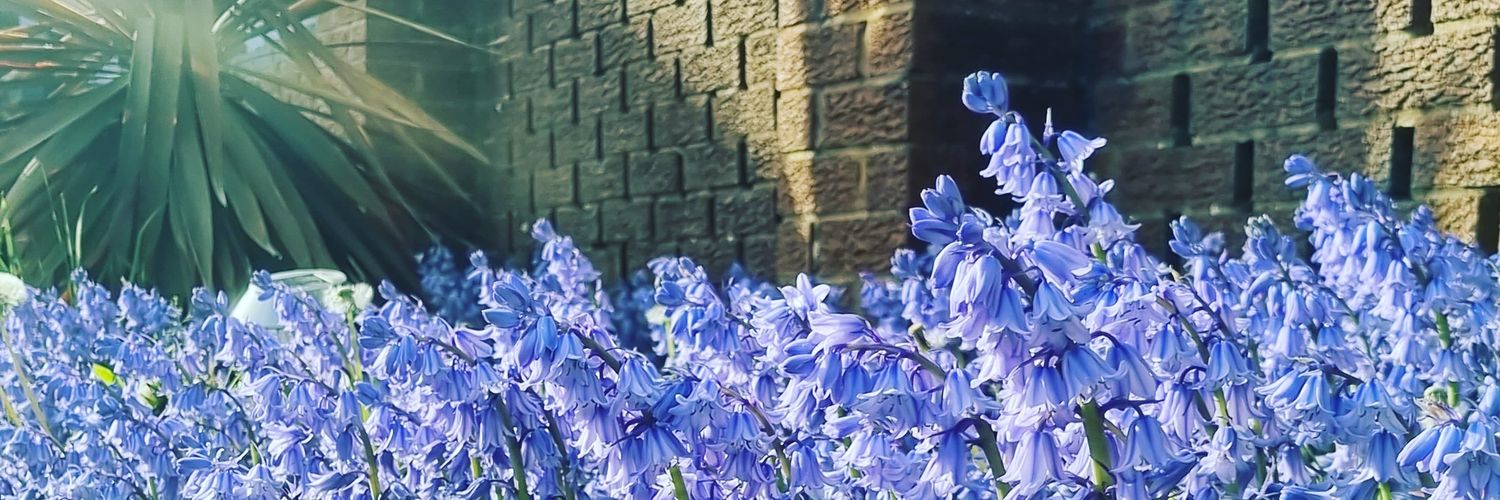 JustCallMeLynz's profile banner image