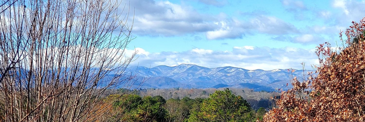 melvis 🇺🇸 banner