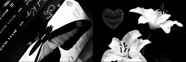 orbitxvier Profile Banner