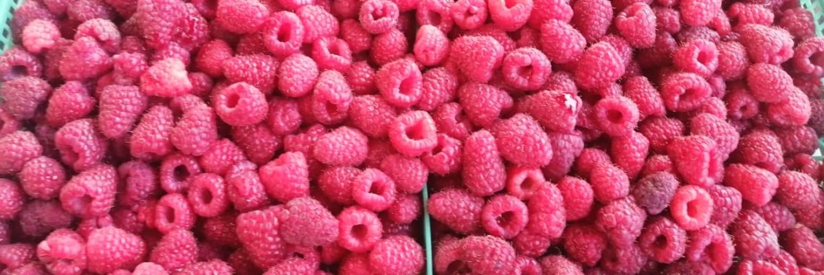 minera1978's profile banner image