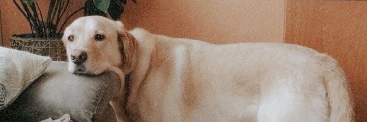annamveiga's profile banner image