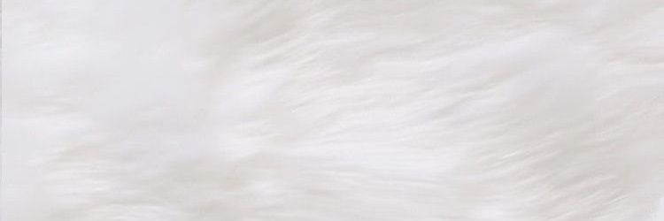 ⭐ banner