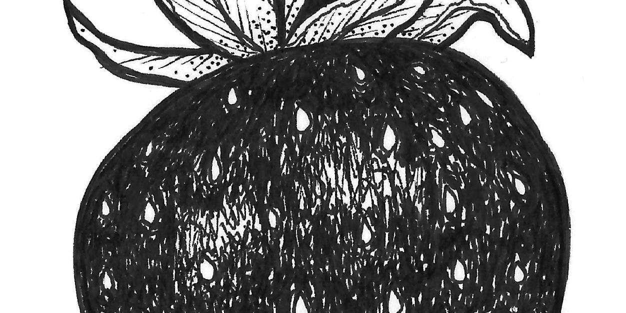 cathyburgerhudd's profile banner image