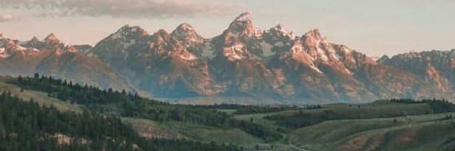 izzygettinnbusy's profile banner image