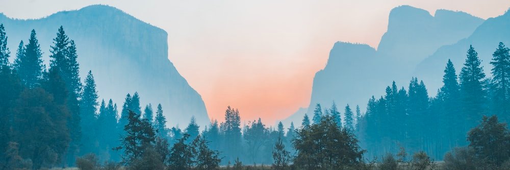 Dante Alejo banner