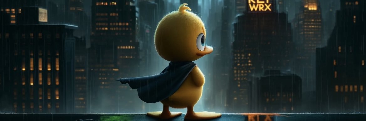 Duckk CTO's banner