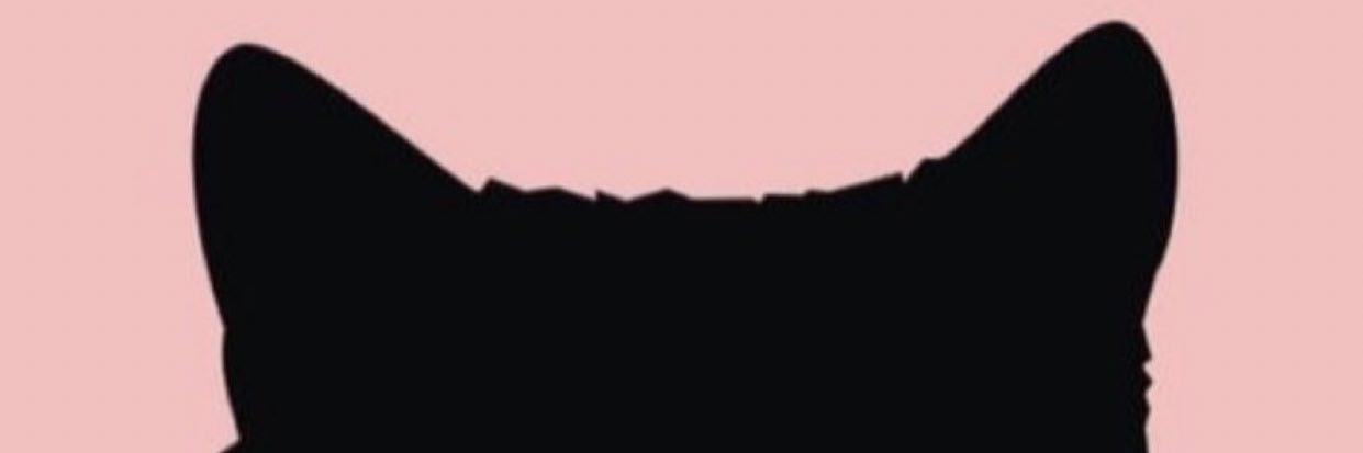 nisauri08's profile banner image