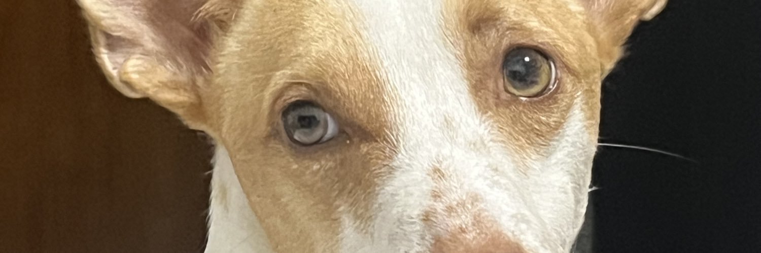 melinalud17's profile banner image