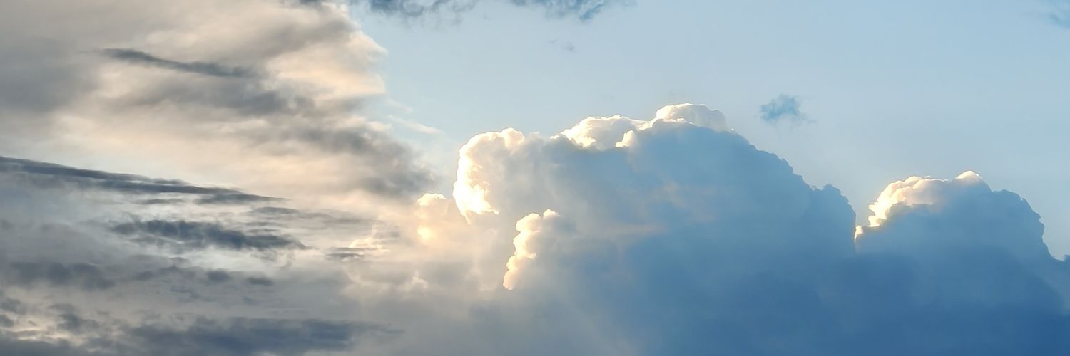 双皮奶好好吃 banner