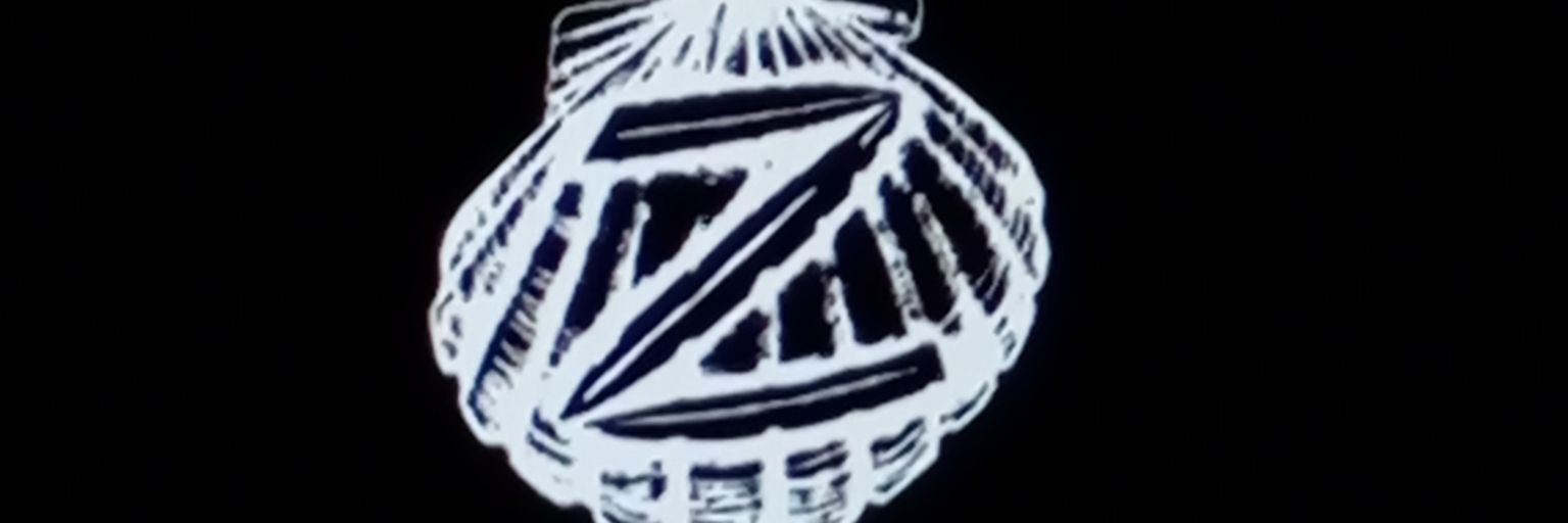 Chester Havok banner