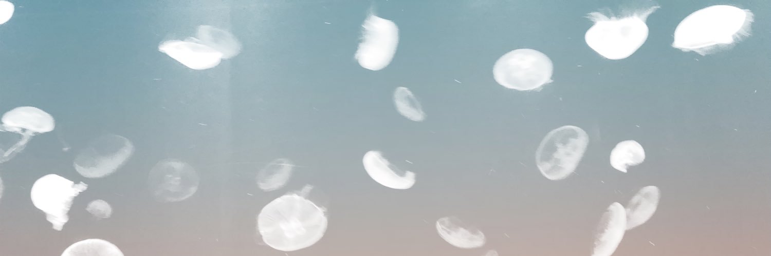 mint_010203's profile banner image