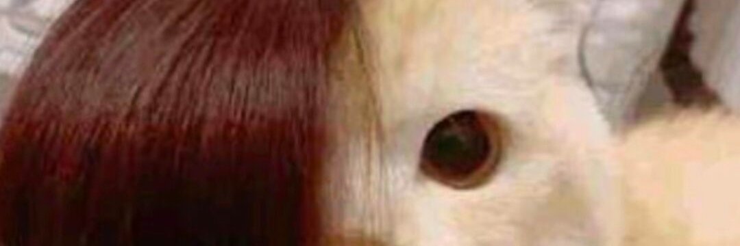张 banner